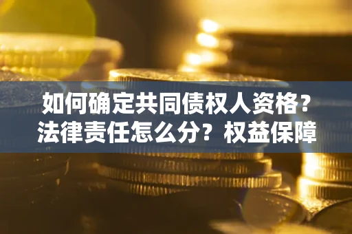 北京如何确定共同债权人资格？法律责任怎么分？权益保障技巧揭秘！