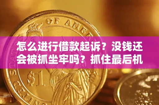 北京怎么进行借款起诉？没钱还会被抓坐牢吗？抓住最后机会！
