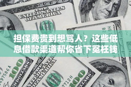 北京担保费贵到想骂人？这些低息借款渠道帮你省下冤枉钱