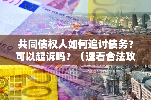 北京共同债权人如何追讨债务？可以起诉吗？（速看合法攻略）