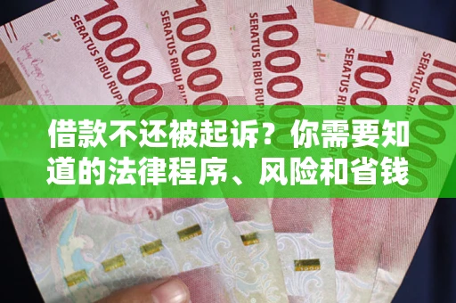 北京借款不还被起诉？你需要知道的法律程序、风险和省钱技巧